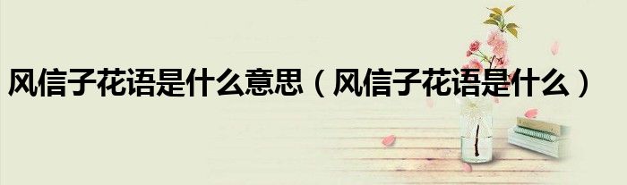 风信子花语是什么意思（风信子花语是什么）