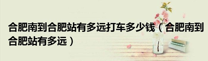 合肥南到合肥站有多远打车多少钱（合肥南到合肥站有多远）