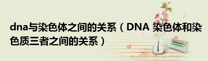 dna与染色体之间的关系（DNA 染色体和染色质三者之间的关系）