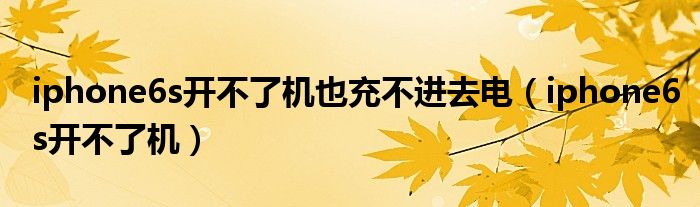 iphone6s开不了机也充不进去电（iphone6s开不了机）