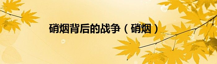 硝烟背后的战争（硝烟）