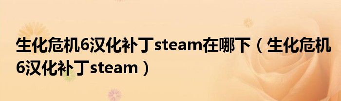 生化危机6汉化补丁steam在哪下（生化危机6汉化补丁steam）