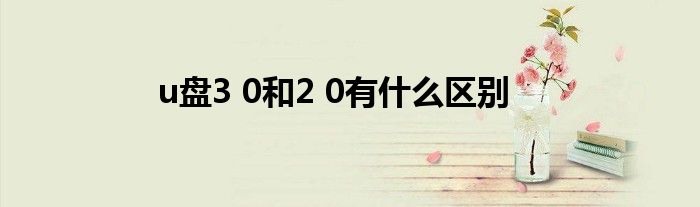 u盘3 0和2 0有什么区别