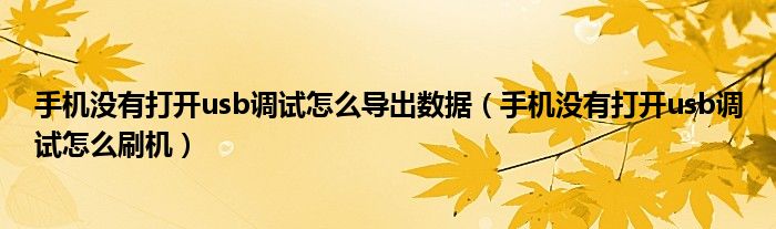 手机没有打开usb调试怎么导出数据（手机没有打开usb调试怎么刷机）