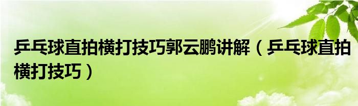 乒乓球直拍横打技巧郭云鹏讲解（乒乓球直拍横打技巧）