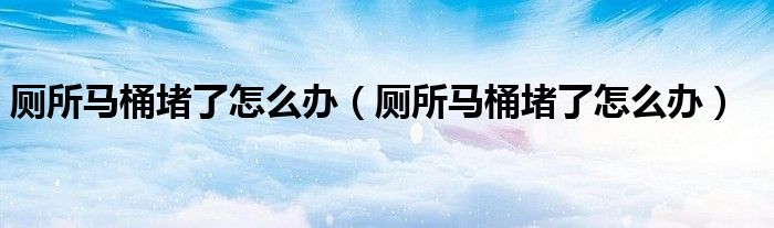 厕所马桶堵了怎么办（厕所马桶堵了怎么办）