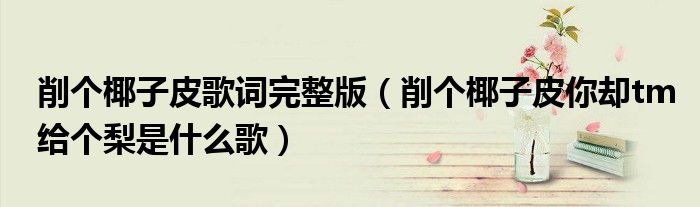 削个椰子皮歌词完整版（削个椰子皮你却tm给个梨是什么歌）