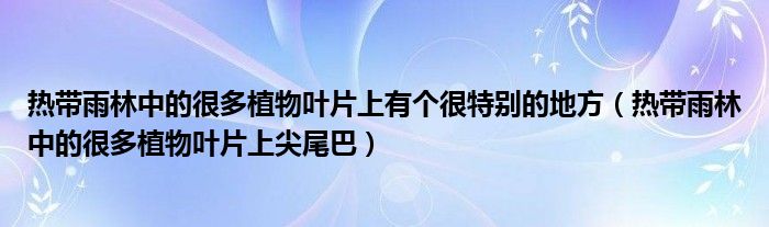 热带雨林中的很多植物叶片上有个很特别的地方（热带雨林中的很多植物叶片上尖尾巴）