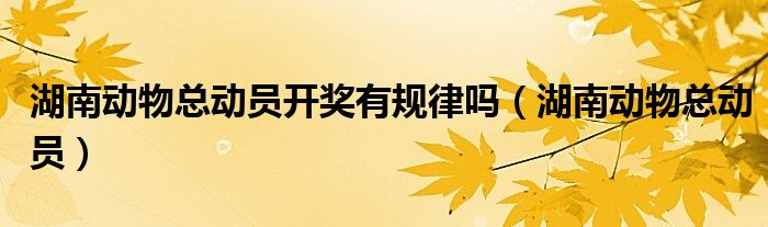 湖南动物总动员开奖有规律吗（湖南动物总动员）
