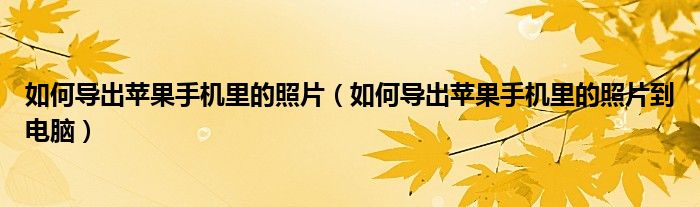 如何导出苹果手机里的照片（如何导出苹果手机里的照片到电脑）