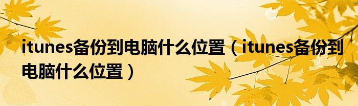 itunes备份到电脑什么位置（itunes备份到电脑什么位置）