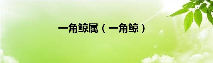 一角鲸属（一角鲸）