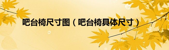 吧台椅尺寸图（吧台椅具体尺寸）