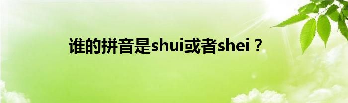 谁的拼音是shui或者shei？
