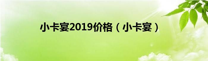 小卡宴2019价格（小卡宴）
