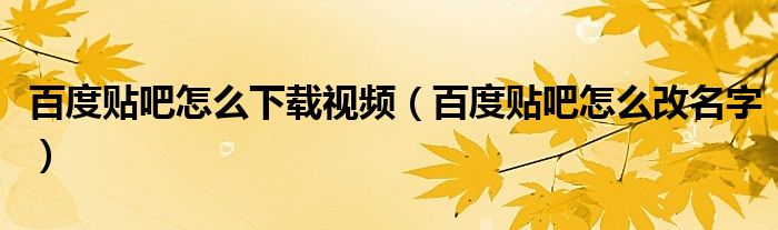 百度贴吧怎么下载视频（百度贴吧怎么改名字）