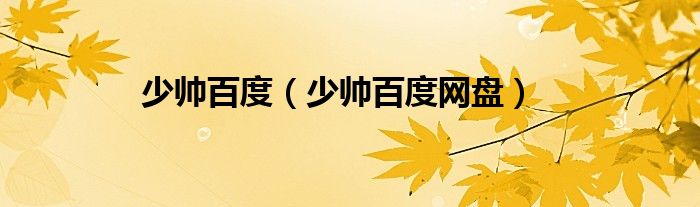 少帅百度（少帅百度网盘）