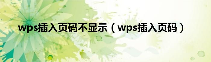 wps插入页码不显示（wps插入页码）