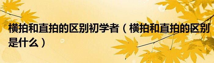 横拍和直拍的区别初学者（横拍和直拍的区别是什么）