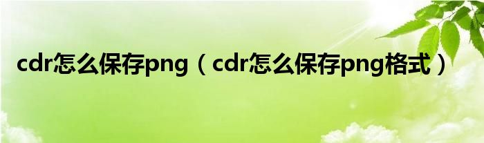 cdr怎么保存png（cdr怎么保存png格式）