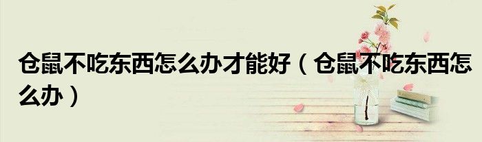 仓鼠不吃东西怎么办才能好（仓鼠不吃东西怎么办）