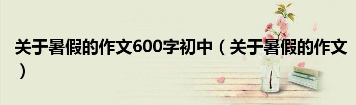关于暑假的作文600字初中（关于暑假的作文）