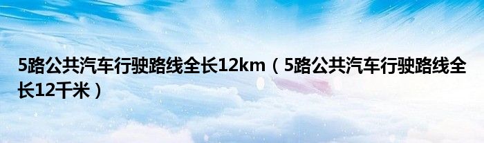 5路公共汽车行驶路线全长12km（5路公共汽车行驶路线全长12千米）