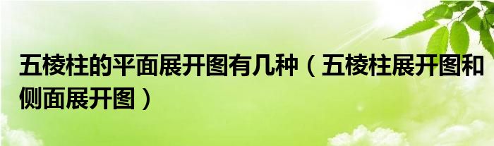 五棱柱的平面展开图有几种（五棱柱展开图和侧面展开图）