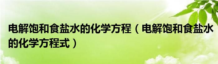 电解饱和食盐水的化学方程（电解饱和食盐水的化学方程式）