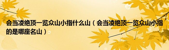 会当凌绝顶一览众山小指什么山（会当凌绝顶一览众山小指的是哪座名山）