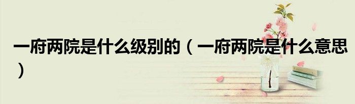 一府两院是什么级别的（一府两院是什么意思）