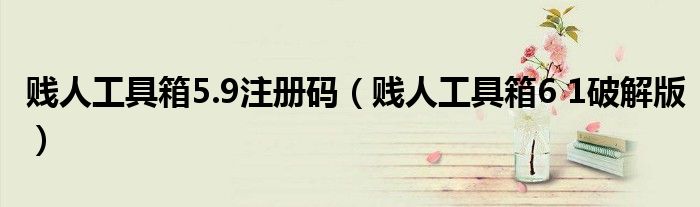 贱人工具箱5.9注册码（贱人工具箱6 1破解版）