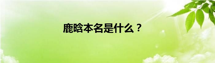 鹿晗本名是什么？