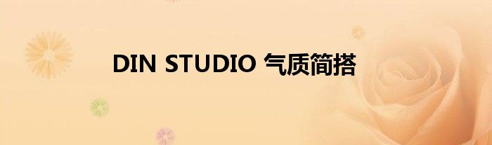 DIN STUDIO 气质简搭