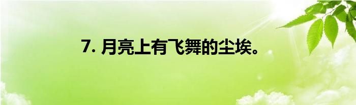 7. 月亮上有飞舞的尘埃。