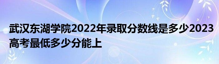 武汉东湖学院2022年录取分数线是多少2023高考最低多少分能上