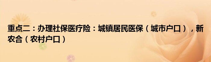 重点二：办理社保医疗险：城镇居民医保（城市户口），新农合（农村户口）