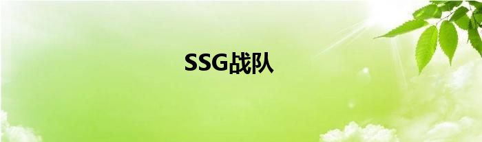 SSG战队