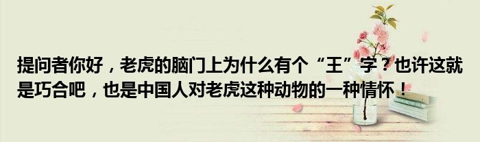 提问者你好，老虎的脑门上为什么有个“王”字？也许这就是巧合吧，也是中国人对老虎这种动物的一种情怀！