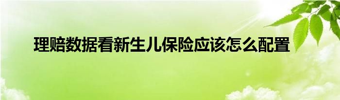 理赔数据看新生儿保险应该怎么配置