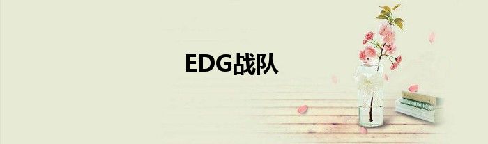 EDG战队