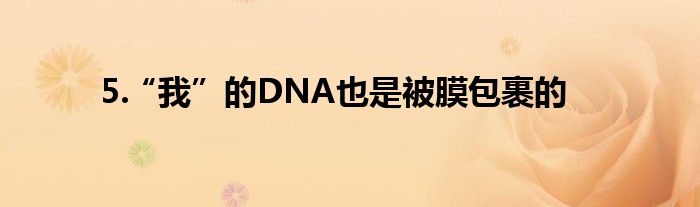 5.“我”的DNA也是被膜包裹的