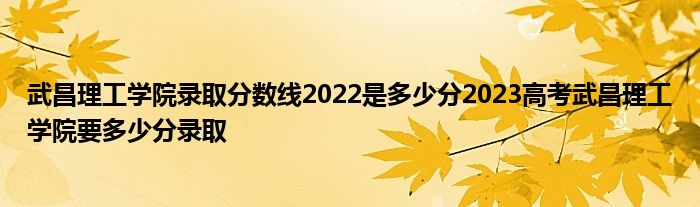 武昌理工学院录取分数线2022是多少分2023高考武昌理工学院要多少分录取