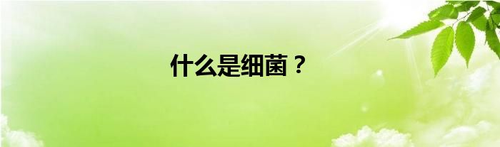 什么是细菌？