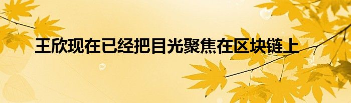 王欣现在已经把目光聚焦在区块链上