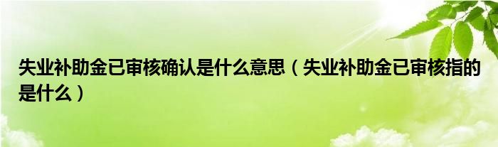 失业补助金已审核确认是什么意思（失业补助金已审核指的是什么）