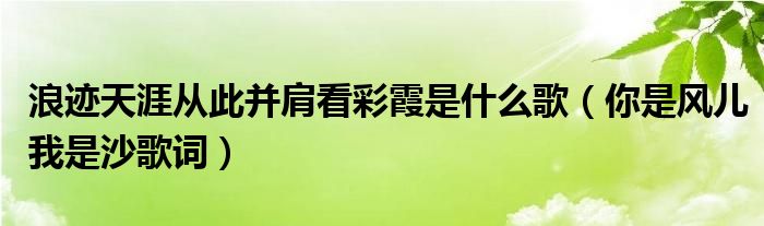 浪迹天涯从此并肩看彩霞是什么歌（你是风儿我是沙歌词）