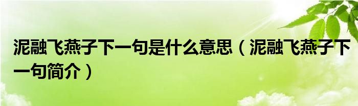 泥融飞燕子下一句是什么意思（泥融飞燕子下一句简介）