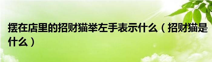 摆在店里的招财猫举左手表示什么（招财猫是什么）