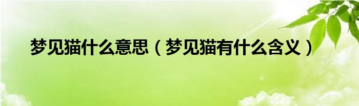梦见猫什么意思（梦见猫有什么含义）
